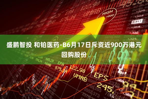 盛鹏智投 和铂医药-B6月17日斥资近900万港元回购股份
