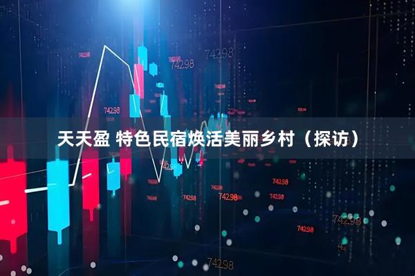 天天盈 特色民宿焕活美丽乡村（探访）
