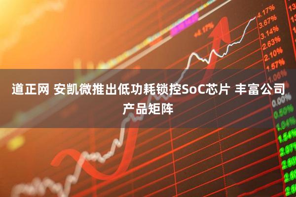 道正网 安凯微推出低功耗锁控SoC芯片 丰富公司产品矩阵