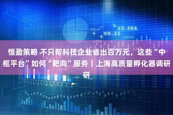 恒盈策略 不只帮科技企业省出百万元，这些“中枢平台”如何“靶向”服务｜上海高质量孵化器调研