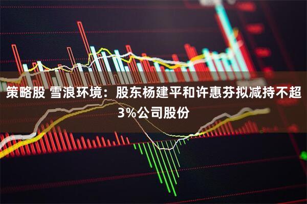 策略股 雪浪环境：股东杨建平和许惠芬拟减持不超3%公司股份