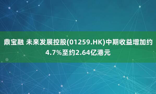 鼎宝融 未来发展控股(01259.HK)中期收益增加约4.7%至约2.64亿港元