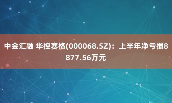 中金汇融 华控赛格(000068.SZ)：上半年净亏损8877.56万元