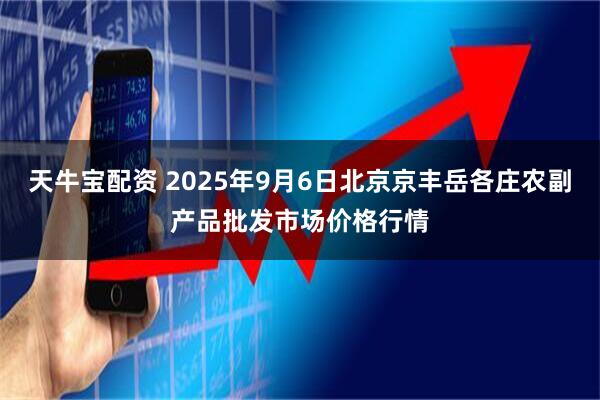 天牛宝配资 2025年9月6日北京京丰岳各庄农副产品批发市场价格行情