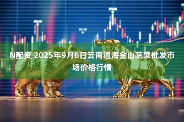 N配资 2025年9月6日云南通海金山蔬菜批发市场价格行情