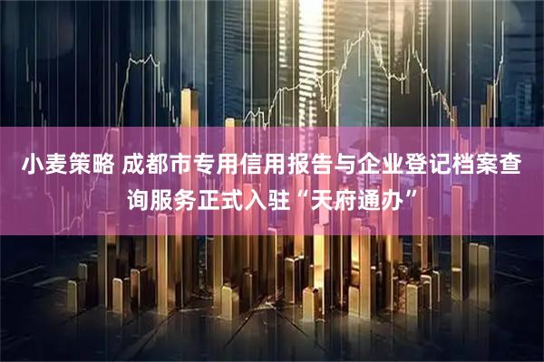 小麦策略 成都市专用信用报告与企业登记档案查询服务正式入驻“天府通办”
