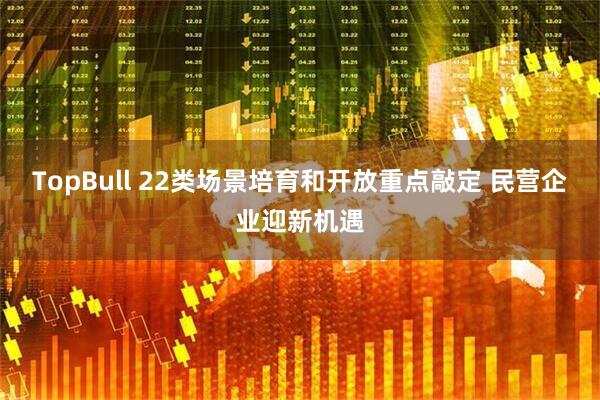TopBull 22类场景培育和开放重点敲定&#32;民营企业迎新机遇