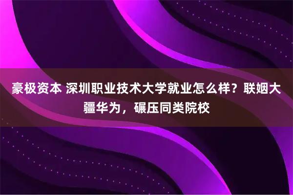 豪极资本 深圳职业技术大学就业怎么样？联姻大疆华为，碾压同类院校