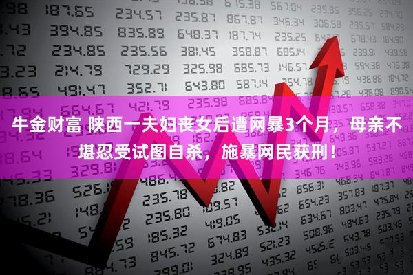 牛金财富 陕西一夫妇丧女后遭网暴3个月，母亲不堪忍受试图自杀，施暴网民获刑！