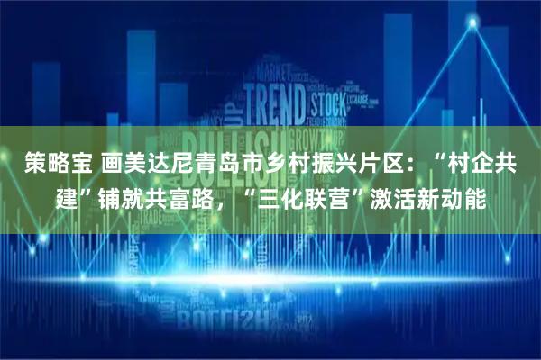 策略宝 画美达尼青岛市乡村振兴片区：“村企共建”铺就共富路，“三化联营”激活新动能