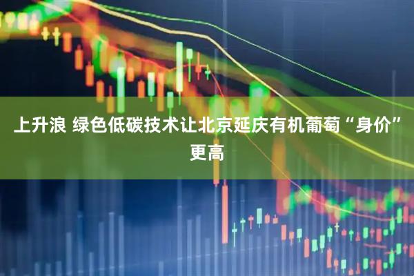 上升浪 绿色低碳技术让北京延庆有机葡萄“身价”更高