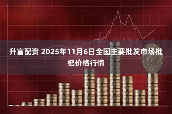 升富配资 2025年11月6日全国主要批发市场枇杷价格行情