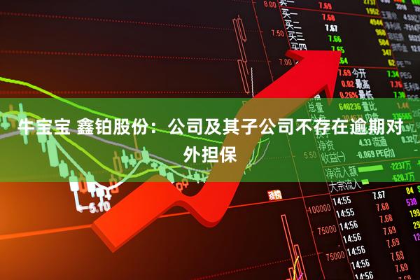 牛宝宝 鑫铂股份：公司及其子公司不存在逾期对外担保